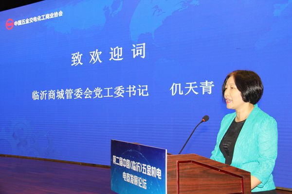 第二届中国（临沂）五金机电电商发展论坛成功举办(图4)